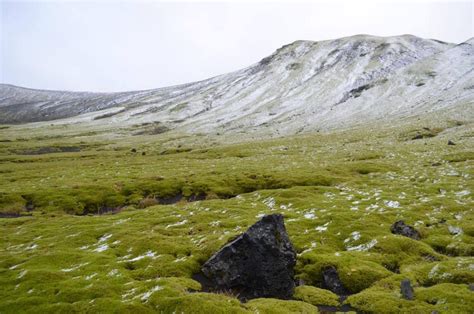 beautiful volcanic island of Jan Mayen | Island, Arctic ocean, Archipelago