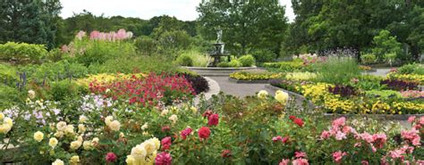 Home | Minnesota Landscape Arboretum