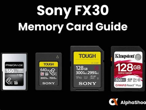 Best Sony A7III Memory Cards With Speed & Buffer Tests