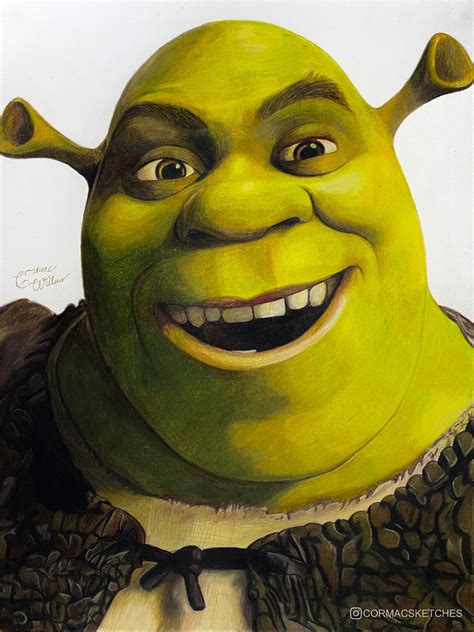 My pencil portrait of Shrek : r/pics