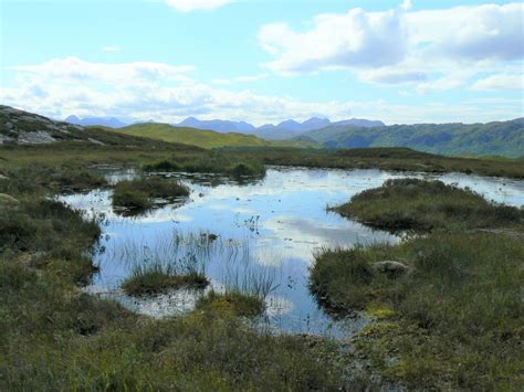 Peat bogs: windows to the past –… | National Trust for Scotland