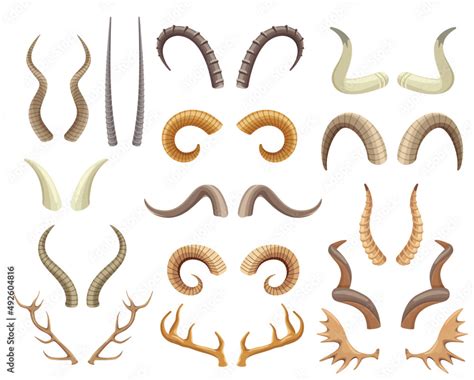 Animal horns and antlers, antelope, ram, moose, reindeer horn. Wild ...