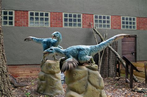 Troodon by NikitaLaChance on DeviantArt