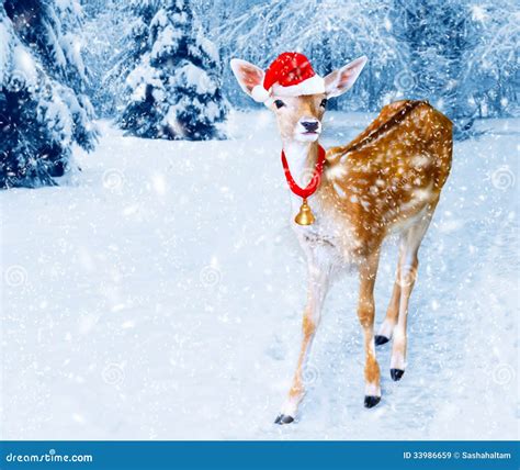 Christmas Deer in Winter Forest with Snow Fall Stock Image - Image of field, outdoor: 33986659