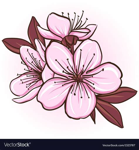 Cherry blossom vector image on VectorStock | Cherry blossom vector, Cherry blossom tattoo ...