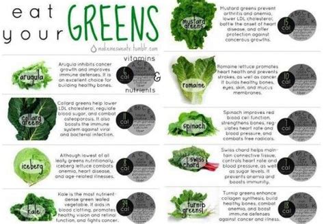 Leafy Greens 101: How to Prepare, Store, and Cook Leafy Greens | Health ...