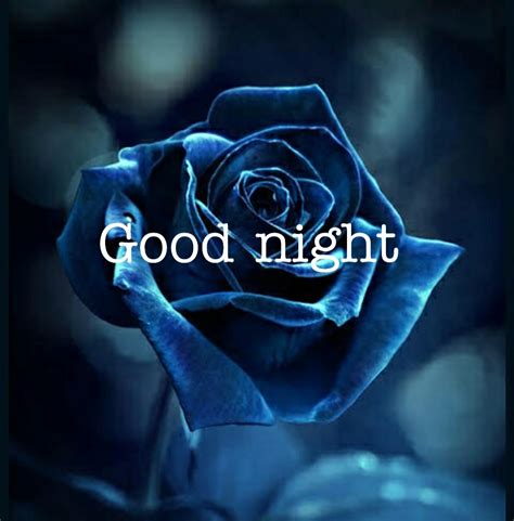 Good Night Pictures With Love - Fantasy Blue Rose - 1080x1097 Wallpaper ...