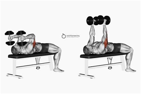 Lying Dumbbell Tricep Extension Benefits & Form Tips