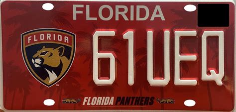 Florida Specialty License Plates 2025 - Darci Elonore