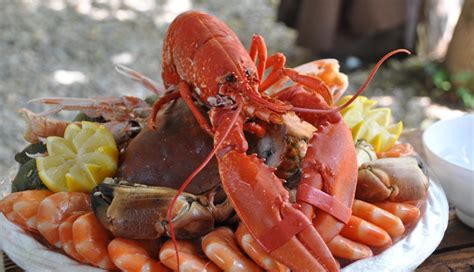 6 Delicious Seafood Restaurants To Visit in The Bahamas - lifeberrys.com