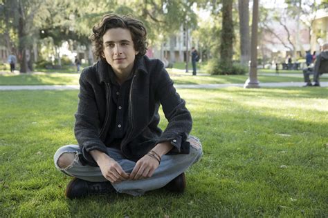 Beautiful Boy Director Felix Van Groeningen on Timothée Chalamet