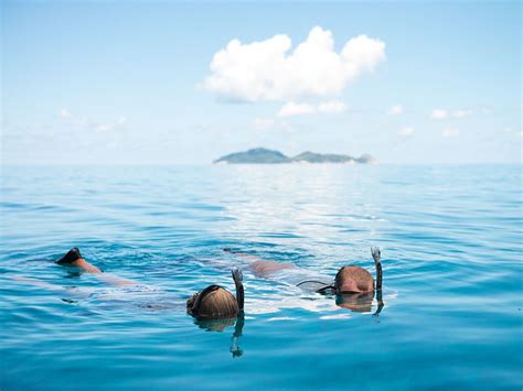 Snorkeling at North Island, Seychelles | Beach honeymoon, Private island, Island life