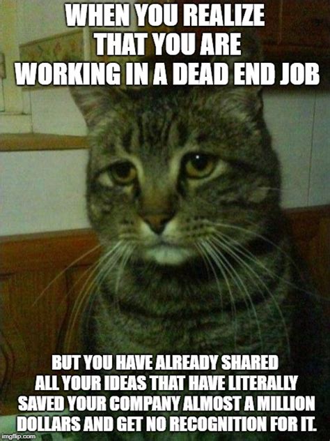 Depressed Cat Meme - Imgflip