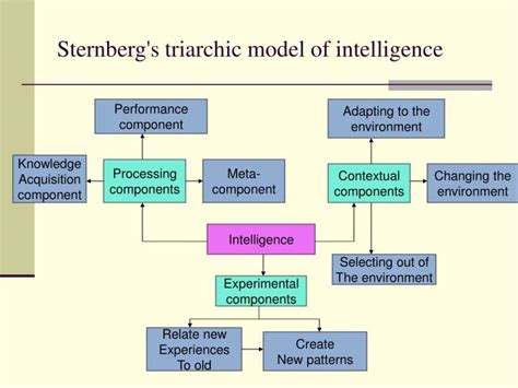 PPT - Sternberg\'s triarchic theory of intelligence PowerPoint ...