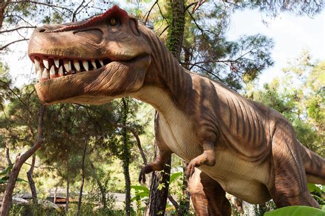 15 Cool Places to See Dinosaurs in Texas - Lone Star Travel Guide