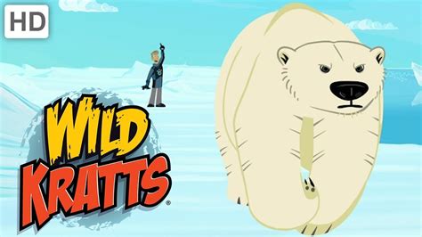 Wild Kratts 🏔️ Polar Bear & Walrus Rescue Happy Holidays! Kids Videos ...