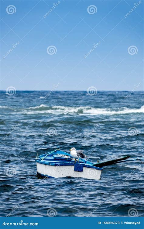 Seagull on a Fishermans Boat Stock Image - Image of wave, sitting: 158096373