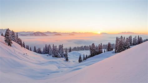 Sunset in the Alps., the alps, sunset, trees, fog, mist, panorama, snow ...