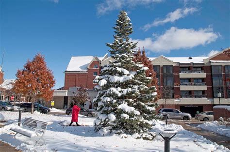 PHOTOS - Record Snow in Birmingham | Birmingham, MI Patch