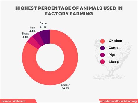 Animal Cruelty In Factory Farm Statistics - Dreadful Numbers