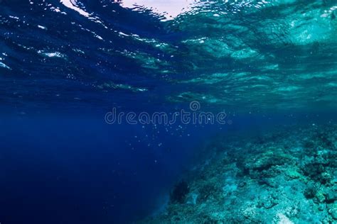 Underwater Rocks with Coral and Fish in Blue Transparent Ocean ...