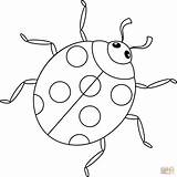 Ladybug coloring page  Free Printable Coloring Pages sketch template