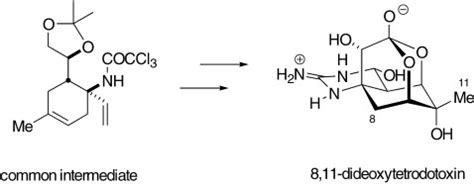 Stereocontrolled Synthesis of 8,11‐Dideoxytetrodotoxin, An Unnatural ...
