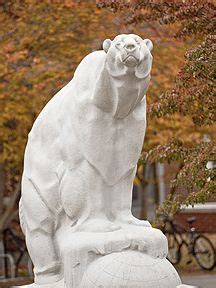 The Bowdoin Polar Bear | Polar bear, Polar, Bear