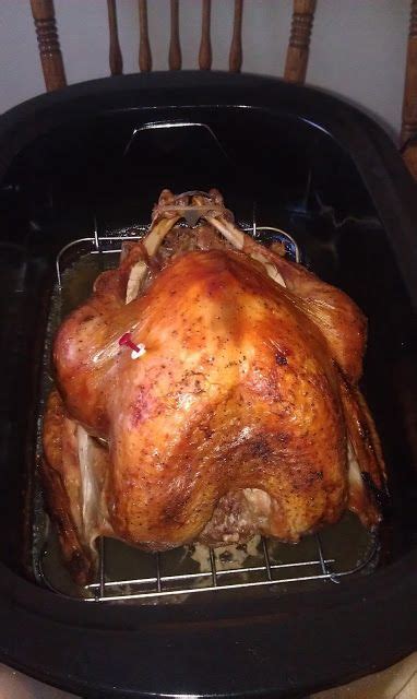 Perfectly Easy Roast Turkey in an Electric Roaster | Roaster recipes, Cook turkey in roaster ...