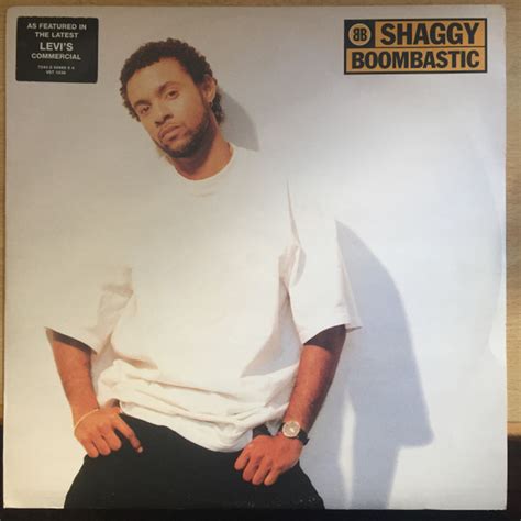 Shaggy - Boombastic (1995, Vinyl) | Discogs