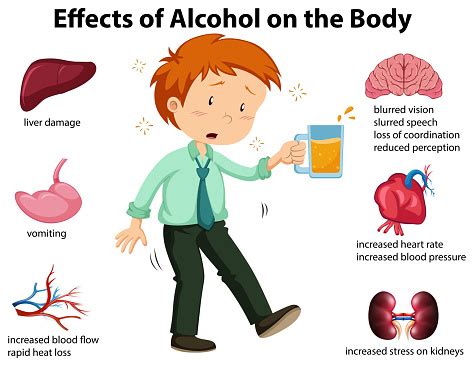 Effects Of Alcohol On The Body Stock Illustration - Download Image Now ...