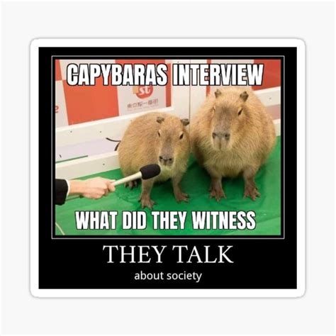 "Capybara interview meme " Sticker for Sale by Ren-Vhn | Redbubble