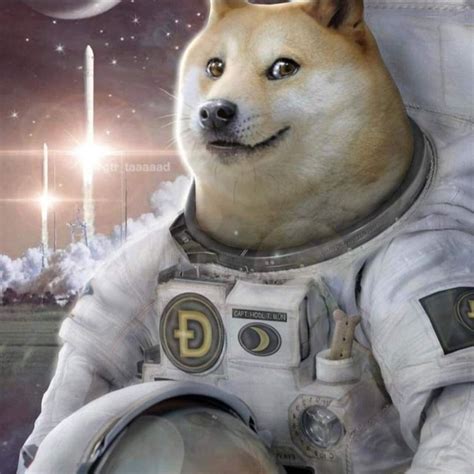 Astronaut Doge Blank Template - Imgflip