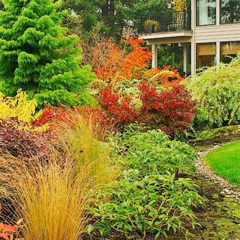 60+ Beuatiful Colorful Landscaping Ideas with Low Maintenance Flower Bushes