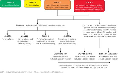 Management of Heart Failure: Updated Guidelines From the AHA/ACC | AAFP