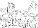 Nocturnal Howling Wolf Coloring  Page sketch template