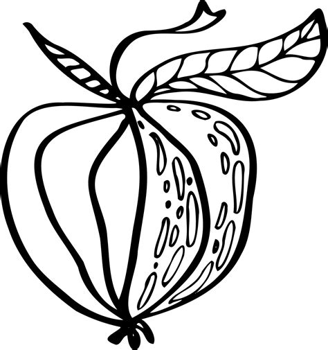 apple vector isolated sketch illustration 11754337 Vector Art at Vecteezy