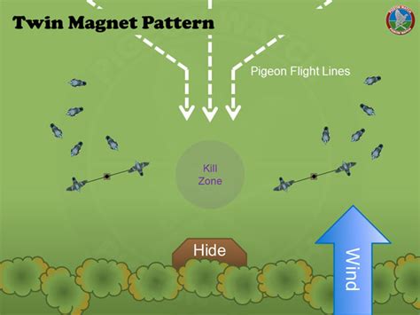 Setting a pigeon decoy pattern - Pigeon Shooting Tips - Pigeon Watch Forums