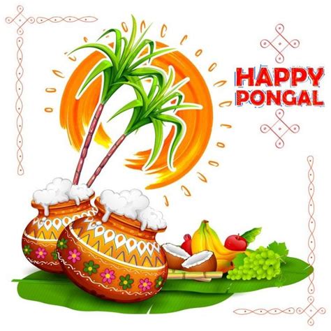 Pongal Festival Recipes | 44 Pongal Food Recipes 2025