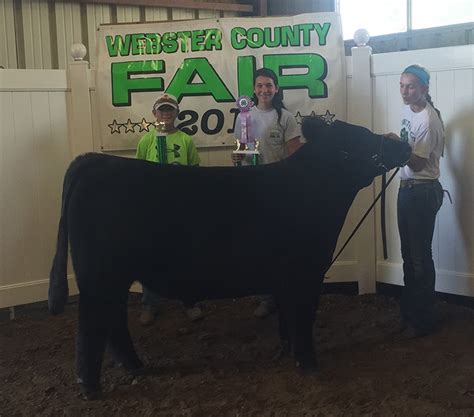 Webster County Fair | Iowa - Matt Lautner Cattle