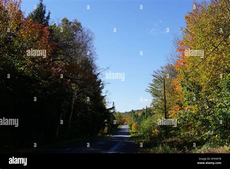 Fall Colours in Muskoka Stock Photo - Alamy