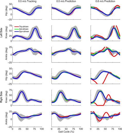 Frontiers | Muscle Synergies Facilitate Computational Prediction of ...