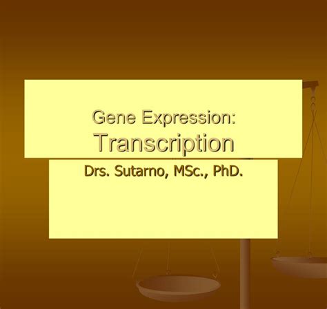 PPT - Gene Expression: Transcription PowerPoint Presentation, free download - ID:4840500