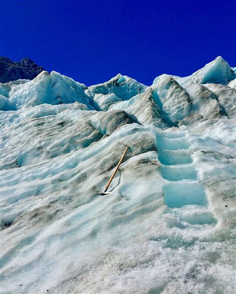 Franz Josef Glacier in New Zealand | Franz josef glacier, Travel, Glacier