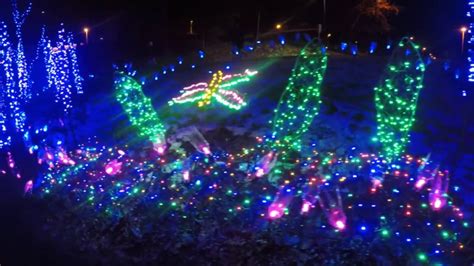 Lafarge lake, Christmas lights 2017, 4k, Coquitlam, BC, Canada - YouTube