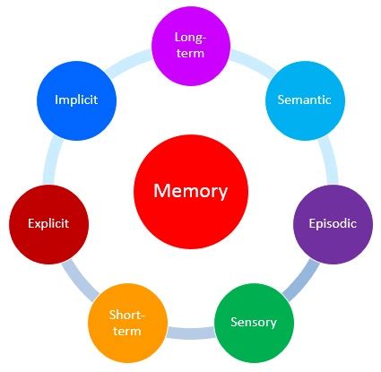 Classification of Memory - Types of Memory