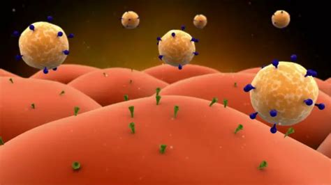 The Biology of Membrane Receptors | Healthtian