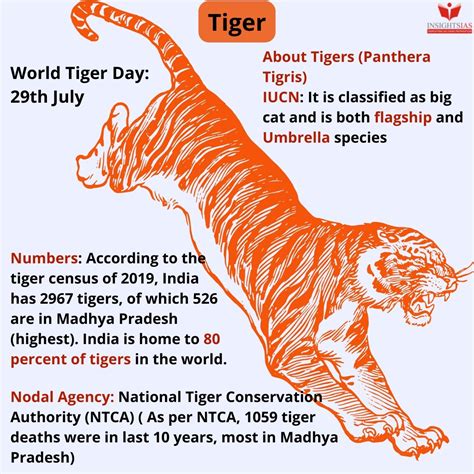 What numbers do not reveal about tiger conservation - INSIGHTS IAS ...