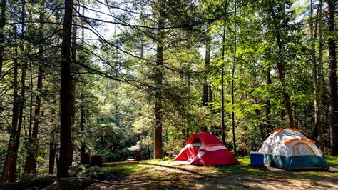 New York's Top 10 Camping Adventures