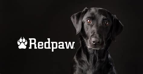 Buy Redpaw | Healthy Dog Food Stores Near Me